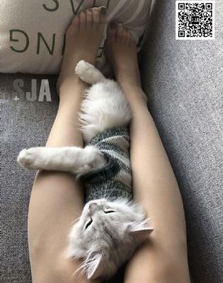 亚洲香蕉伊在人在线观婷婷_1080高清在线观看
